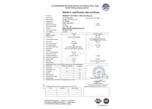MAG-FM1-PA（ss，nb）---Li Youzhu