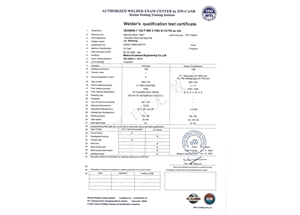 FCAW-FM2-PA（ss，mb）---Liu Wenlong