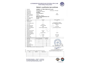 SMAW-FM2-PF（ss，mb）---Qu Ziqiang